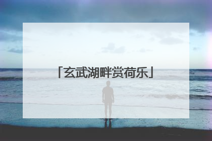 玄武湖畔赏荷乐