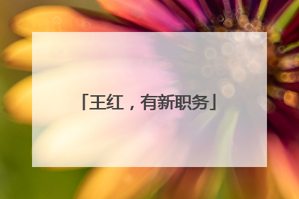 王红，有新职务