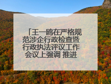 王一鸥在严格规范涉企行政检查暨行政执法评议工作会议上强调 推进涉企行政检查质效大幅提升