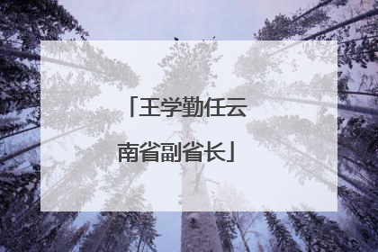 王学勤任云南省副省长
