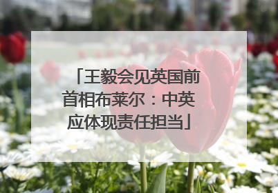 王毅会见英国前首相布莱尔：中英应体现责任担当