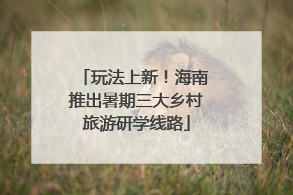 玩法上新！海南推出暑期三大乡村旅游研学线路