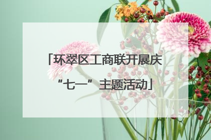 环翠区工商联开展庆“七一”主题活动
