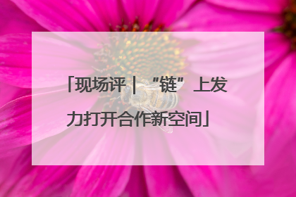 现场评｜“链”上发力打开合作新空间
