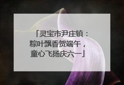 灵宝市尹庄镇：粽叶飘香贺端午，童心飞扬庆六一