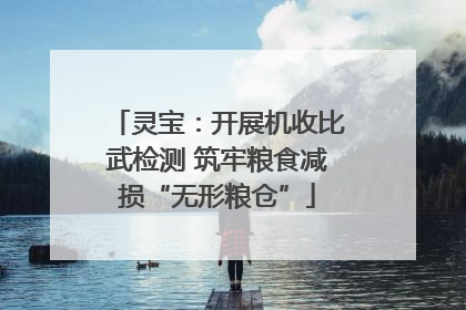 灵宝：开展机收比武检测 筑牢粮食减损“无形粮仓”
