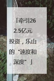 牵引262.5亿元投资，乐山的“速度和深度”