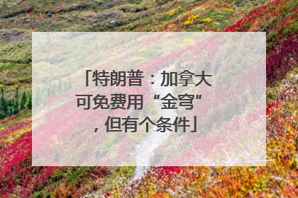 特朗普：加拿大可免费用“金穹”，但有个条件