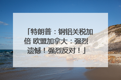 特朗普：钢铝关税加倍 欧盟加拿大：强烈遗憾！强烈反对！