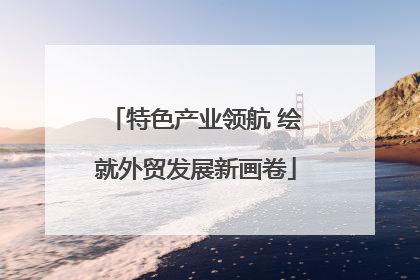 特色产业领航 绘就外贸发展新画卷