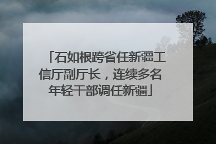 石如根跨省任新疆工信厅副厅长，连续多名年轻干部调任新疆