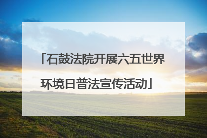 石鼓法院开展六五世界环境日普法宣传活动