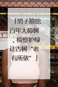 男子擅挖百年大樟树，检察护绿让古树“老有所依”