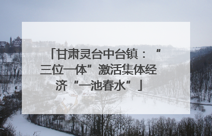 甘肃灵台中台镇：“三位一体”激活集体经济“一池春水”