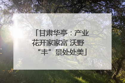 甘肃华亭：产业花开家家富 沃野“丰”景处处美
