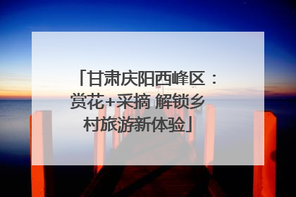 甘肃庆阳西峰区：赏花+采摘 解锁乡村旅游新体验