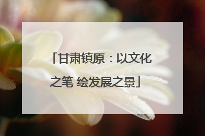 甘肃镇原：以文化之笔 绘发展之景