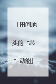 田间地头的“芯”动能