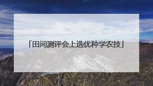 田间测评会上选优种学农技
