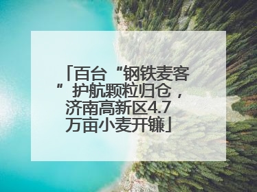 百台“钢铁麦客”护航颗粒归仓，济南高新区4.7万亩小麦开镰