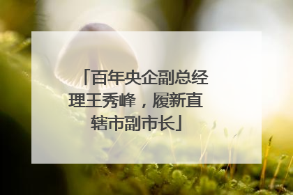 百年央企副总经理王秀峰，履新直辖市副市长