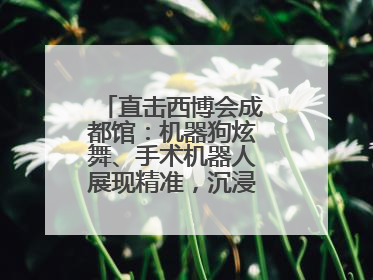 直击西博会成都馆：机器狗炫舞、手术机器人展现精准，沉浸式体验受热捧