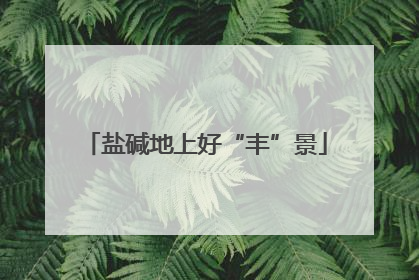 盐碱地上好“丰”景