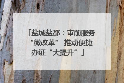 盐城盐都：审前服务“微改革” 推动便捷办证“大提升”