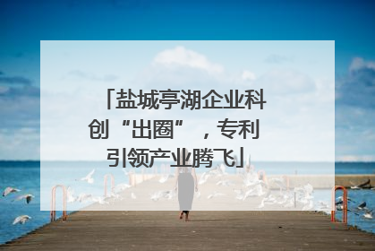盐城亭湖企业科创“出圈”，专利引领产业腾飞