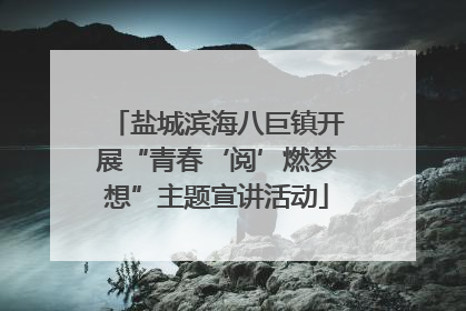 盐城滨海八巨镇开展“青春‘阅’燃梦想”主题宣讲活动