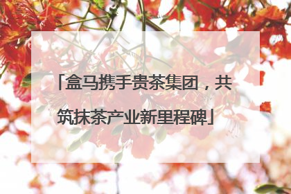 盒马携手贵茶集团，共筑抹茶产业新里程碑