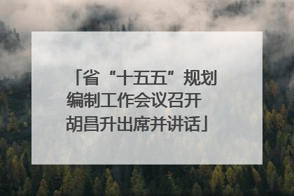 省“十五五”规划编制工作会议召开 胡昌升出席并讲话
