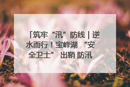 筑牢“汛”防线｜逆水而行！宝峰湖 “安全卫士” 出鞘 防汛应急再添硬核力量