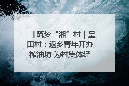 筑梦“湘”村｜皇田村：返乡青年开办榨油坊 为村集体经济“加油”