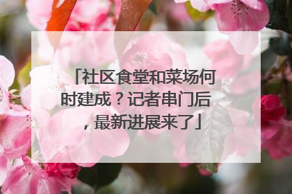 社区食堂和菜场何时建成？记者串门后，最新进展来了