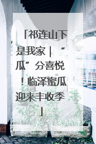 祁连山下是我家｜“瓜”分喜悦！临泽蜜瓜迎来丰收季