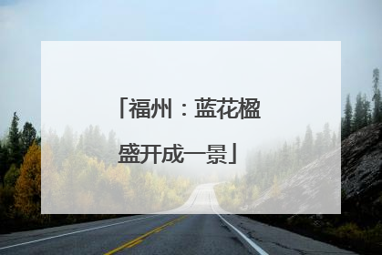 福州：蓝花楹盛开成一景