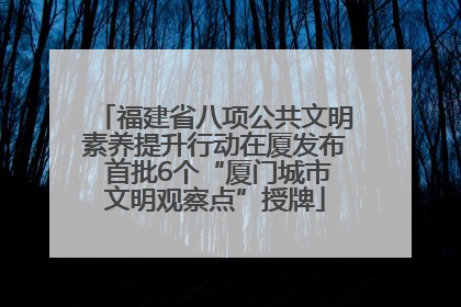 福建省八项公共文明素养提升行动在厦发布 首批6个“厦门城市文明观察点”授牌