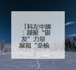 科左中旗：凝聚“银发”力量 展现“桑榆”担当