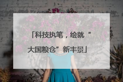 科技执笔，绘就“大国粮仓”新丰景