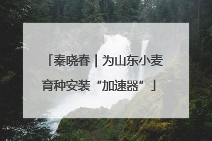 秦晓春｜为山东小麦育种安装“加速器”