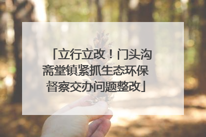 立行立改！门头沟斋堂镇紧抓生态环保督察交办问题整改