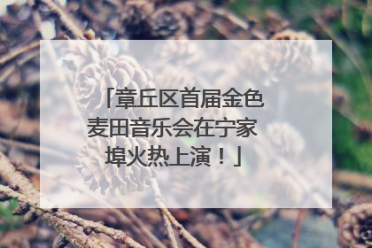 章丘区首届金色麦田音乐会在宁家埠火热上演！