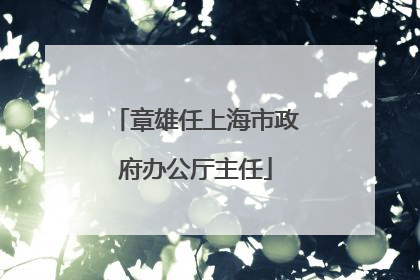 章雄任上海市政府办公厅主任