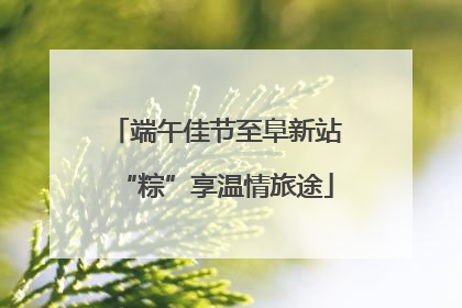 端午佳节至阜新站“粽”享温情旅途