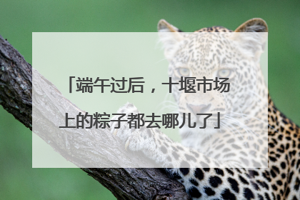 端午过后，十堰市场上的粽子都去哪儿了