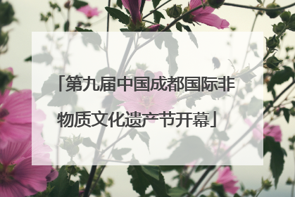 第九届中国成都国际非物质文化遗产节开幕