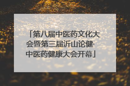 第八届中医药文化大会暨第三届沂山论健·中医药健康大会开幕