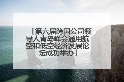 第六届跨国公司领导人青岛峰会通用航空和低空经济发展论坛成功举办