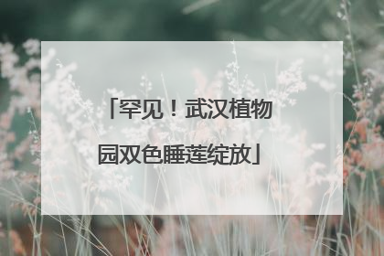 罕见！武汉植物园双色睡莲绽放